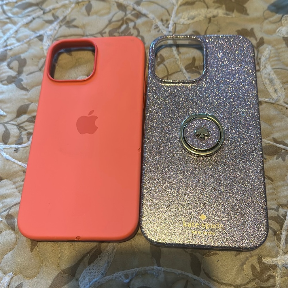iPhone 13 Pro Max cases